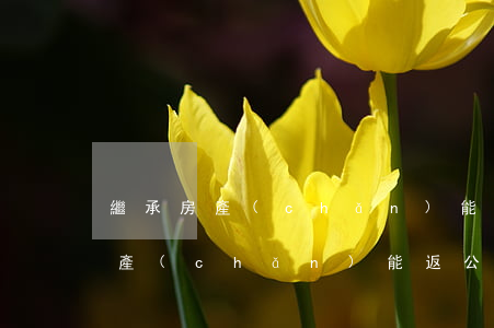 繼承房產(chǎn)能返公積金嗎(繼承房產(chǎn)能返公積金嗎)