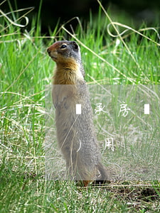 繼承房產(chǎn)要交什么費(fèi)用