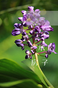 繼承房產(chǎn)超兩套怎么辦(有兩套房子還能繼承房產(chǎn)嗎)