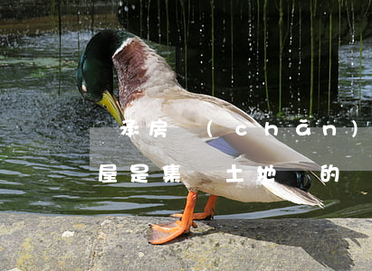 繼承房產(chǎn)連土地一起過戶嗎(房屋是集體土地證的繼承過戶)