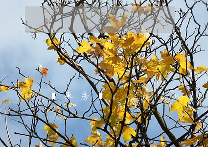 繼承房產(chǎn)過戶需要什么資料