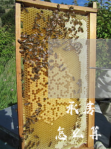 繼承房產(chǎn)遺產(chǎn)稅怎么算(繼承遺產(chǎn)房產(chǎn)稅是多少)