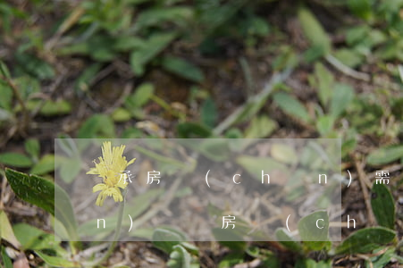 繼承房產(chǎn)需要交房產(chǎn)稅嗎(房產(chǎn)有繼承稅嗎)