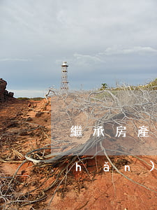 繼承房產(chǎn)需要遺囑嗎(房產(chǎn)如果沒有遺囑誰可以繼承)