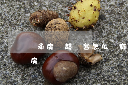 繼承房產超兩套怎么辦(有兩套房子還能繼承房產嗎)
