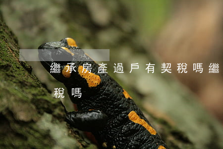 繼承房產過戶有契稅嗎(繼承房產過戶需要交稅嗎)