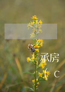 繼承房過戶需要什么手續(xù)(繼承人房產(chǎn)過戶需要什么手續(xù))