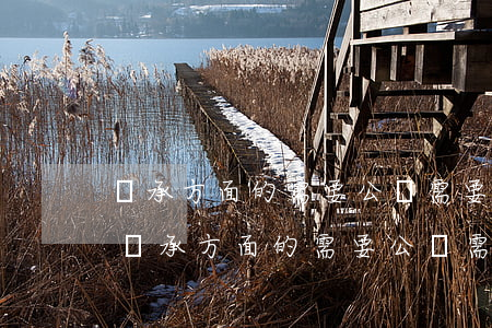 繼承方面的需要公證需要什么手續(xù)(繼承方面的需要公證需要什么手續(xù))