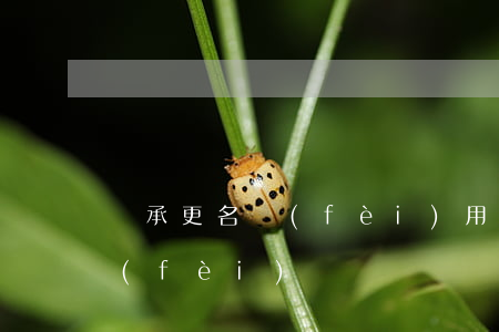 繼承更名費(fèi)用怎么算(繼承過戶費(fèi))