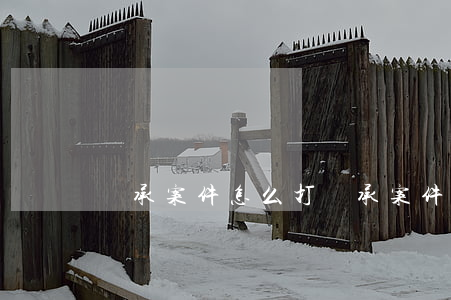 繼承案件怎么打(繼承案件怎么打)