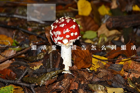 繼承案件被告怎么列(繼承糾紛屬于什么案件)
