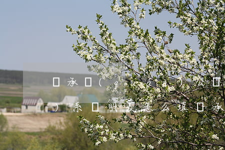 繼承權(quán)公證親屬關(guān)系證明表怎么填(繼承權(quán)公證親屬關(guān)系證明表填寫(xiě)范例)