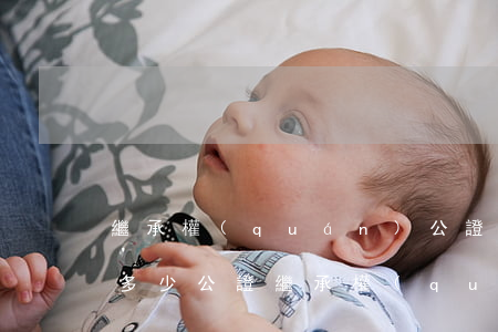 繼承權(quán)公證費(fèi)用是多少(公證繼承權(quán)的收費(fèi)標(biāo)準(zhǔn))
