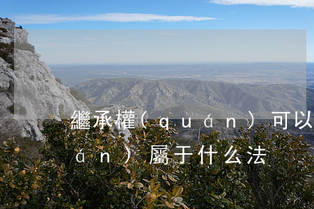 繼承權(quán)可以賣嗎(繼承權(quán)屬于什么法)