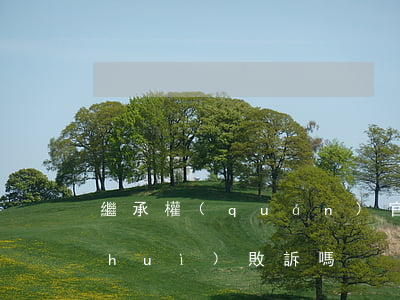 繼承權(quán)官司一審勝訴二審會(huì)敗訴嗎