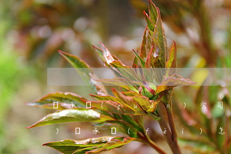 繼承權(quán)官司如何收費(fèi)(繼承費(fèi)怎么收)
