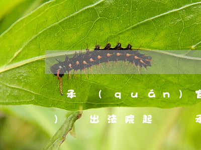 繼承權(quán)官司的訴訟費(fèi)誰出(法院起訴繼承費(fèi)用多少)