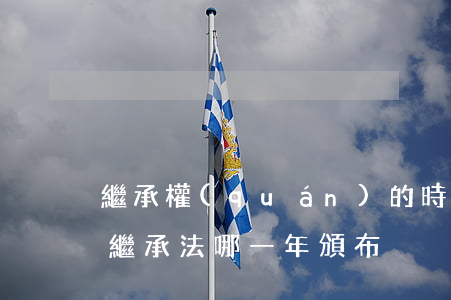 繼承權(quán)的時效二年是什么意思(繼承法哪一年頒布)