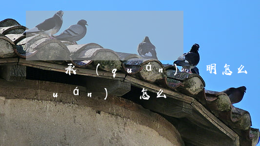 繼承權(quán)聲明怎么寫(繼承權(quán)書怎么寫)