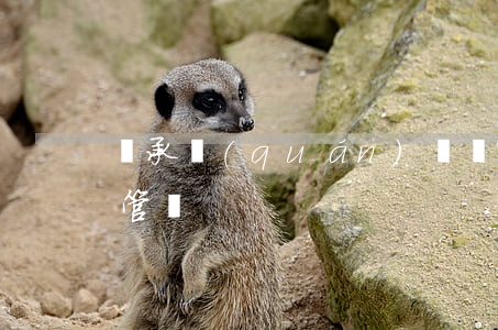 繼承權(quán)訴訟哪個(gè)法院管轄