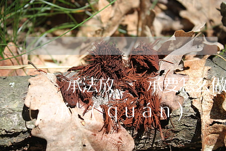 繼承法放棄繼承要怎么做(繼承人可以放棄繼承權(quán)嗎)