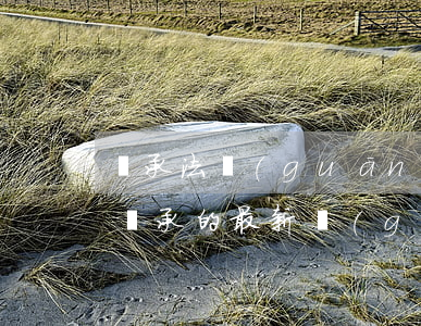 繼承法關(guān)于遺產(chǎn)繼承的最新規(guī)定(民法典關(guān)于遺產(chǎn)繼承的規(guī)定)
