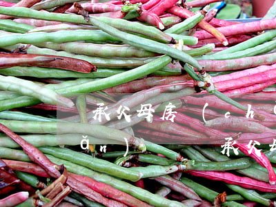 繼承父母房產(chǎn)需要遺產(chǎn)稅嗎(繼承父母的房產(chǎn)需要納稅嗎)