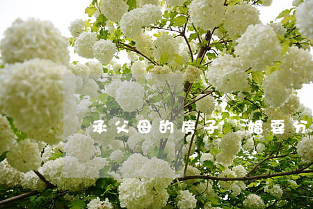 繼承父母的房子離婚要分嗎