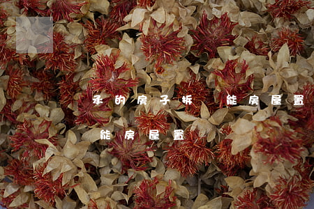 繼承的房子拆遷能房屋置換嗎(繼承的房子拆遷能房屋置換嗎)