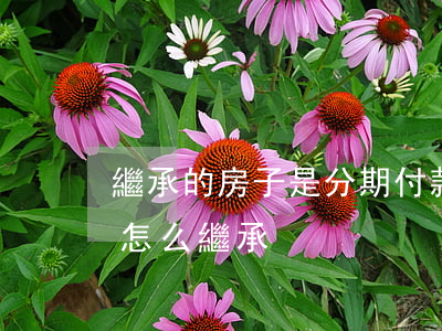 繼承的房子是分期付款的怎么辦(房子有貸款怎么繼承)