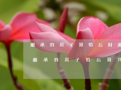 繼承的房子算婚后財產(chǎn)嗎(婚后繼承的房子婚后算共同財產(chǎn)嗎)