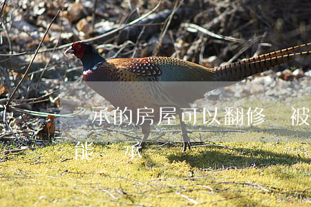 繼承的房屋可以翻修嗎(被繼承房屋已拆除還能繼承嗎)