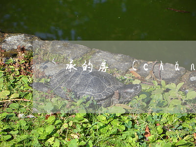 繼承的房產(chǎn)再出售新政