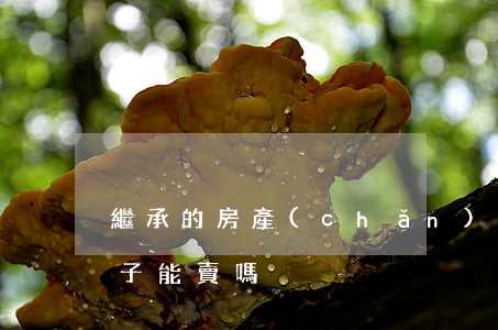 繼承的房產(chǎn)能買賣嗎(繼承的房子能賣嗎)