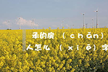 繼承的房產(chǎn)賣(mài)給別人怎么寫(xiě)字據(jù)(房產(chǎn)繼承轉(zhuǎn)讓書(shū)怎么寫(xiě))
