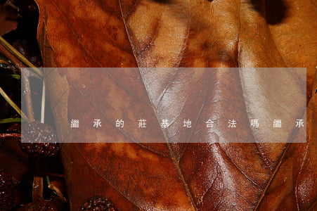 繼承的莊基地合法嗎(繼承的莊基地合法嗎)