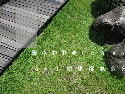 繼承的財產(chǎn)怎么分(財產(chǎn)繼承權怎么分配)