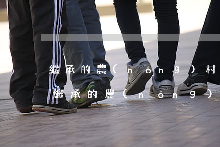 繼承的農(nóng)村房屋被翻建怎么辦(繼承的農(nóng)村宅基地可以翻建嗎)