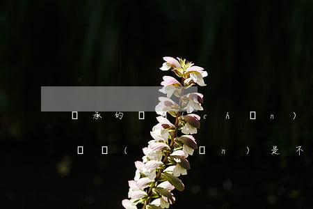 繼承的遺產(chǎn)妻子有份嗎(丈夫的遺產(chǎn)是不是只有妻子可以繼承)
