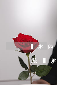 繼承的遺產(chǎn)尚末分割是什么意思(繼承開始后遺產(chǎn)分割前)