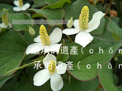 繼承的遺產(chǎn)配偶有份嗎(配偶繼承的遺產(chǎn)屬于共同財產(chǎn)嗎)