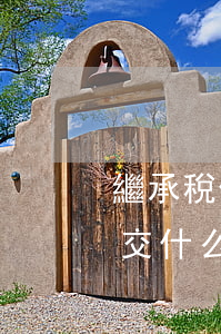 繼承稅什么時候征收(繼承房產(chǎn)交什么稅)