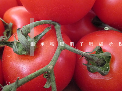 繼承稅取消了嗎(繼承稅怎么避免)
