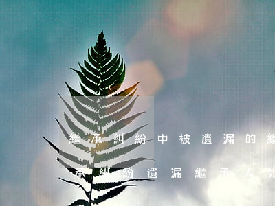 繼承糾紛中被遺漏的繼承人如何參加訴訟，繼承糾紛遺漏繼承人如何處理