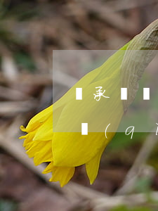 繼承糾紛案件起訴狀怎么寫(繼承糾紛的訴訟請(qǐng)求怎么寫)