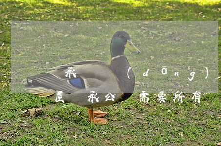 繼承糾紛當(dāng)事人必須到庭嗎(房屋繼承公證需要所有繼承人到場(chǎng))