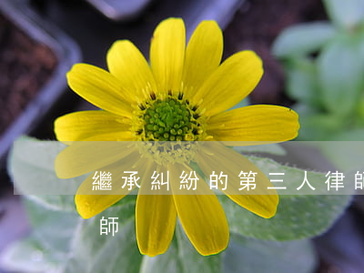 繼承糾紛的第三人律師(繼承糾紛的第三人律師)