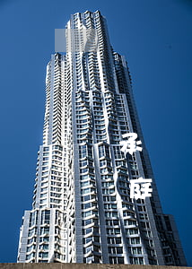 繼承糾紛被告開庭不到場怎么辦(繼承糾紛要開庭幾次)