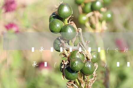 繼承糾紛過訴訟時(shí)效怎么處理(繼承權(quán)糾紛有訴訟時(shí)效嗎)