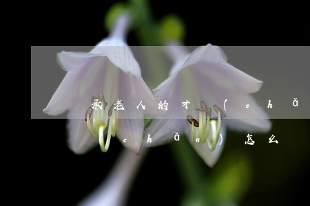 繼承老人的才產(chǎn)怎么寫(老人財產(chǎn)怎么繼承)